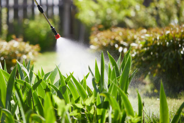 Tamper-Resistant Bait Stations for Rodents in Potosi