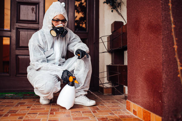 Attic and Crawl Space Rodent Treatment in Potosi